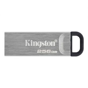 Kingston USB MEMORIJA DTKN/256GB