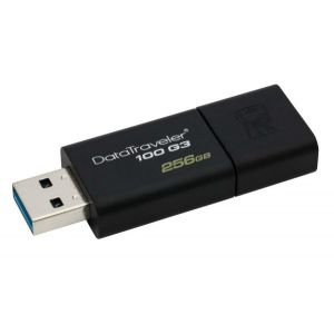 Kingston USB MEMORIJA DataTraveler 100 G3 DT100G3/256GB