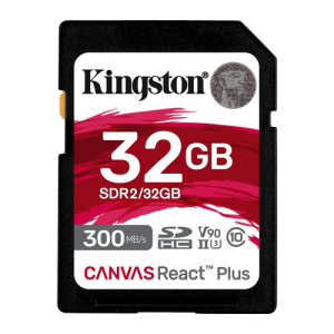 Kingston MEMORIJSKA KARTICA SDR2/32GB