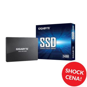 Gigabyte SSD GP-GSTFS31240GNTD
