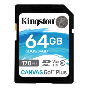 Kingston MEMORIJSKA KARTICA SDG3/64GB